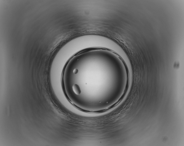 X0000090960742200708161815