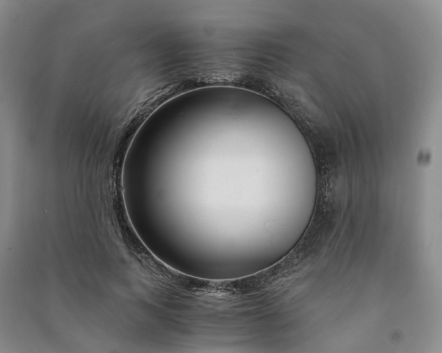 X0000090960743200708161815