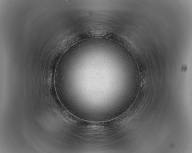 X0000090960745200708161815
