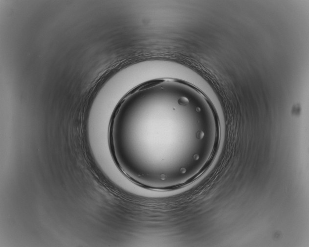 X0000090960746200708161815