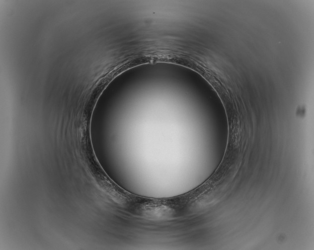 X0000090960747200708161815