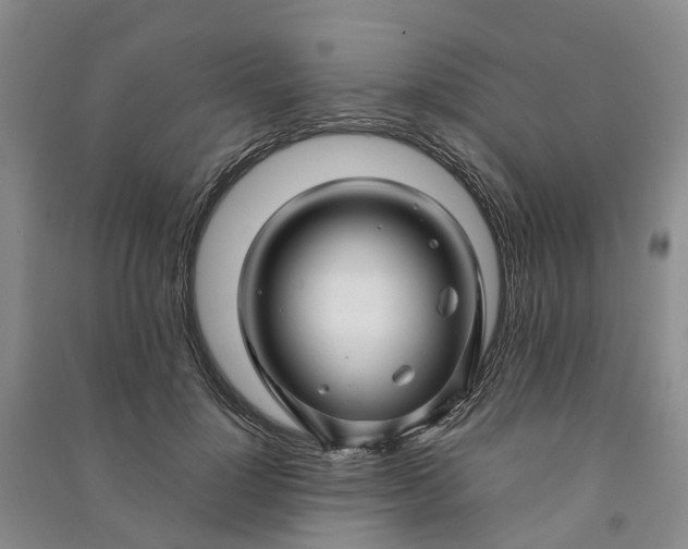 X0000090960748200708161815