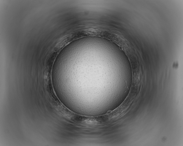 X0000090960749200708161815