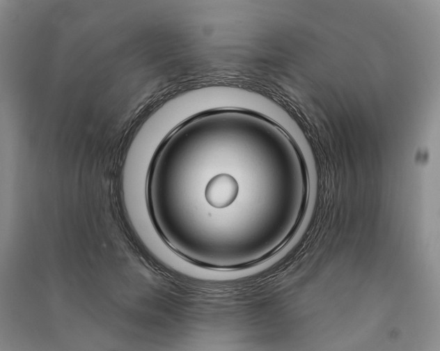 X0000090960750200708161815