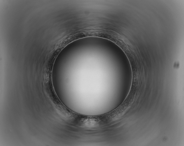 X0000090960751200708161815