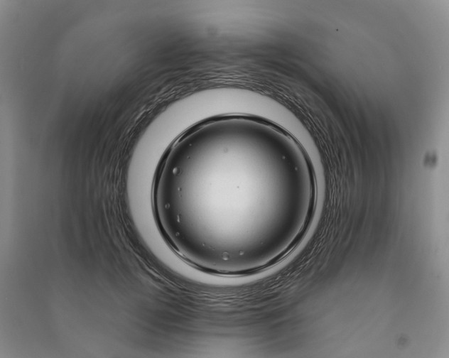 X0000090960752200708161815