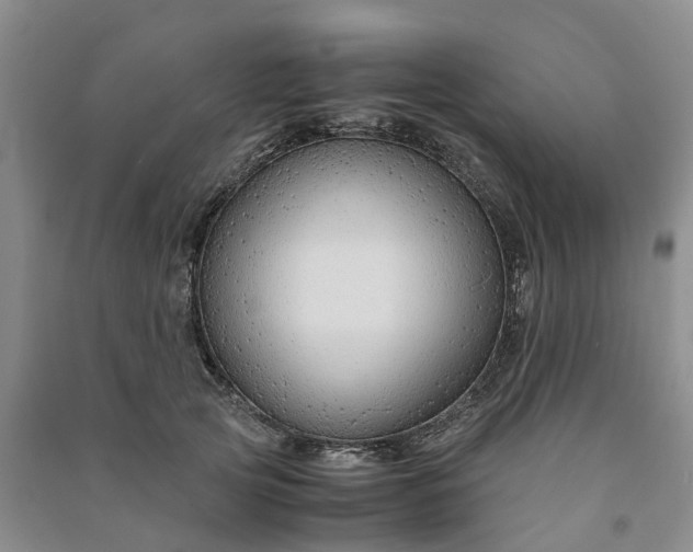 X0000090960753200708161815