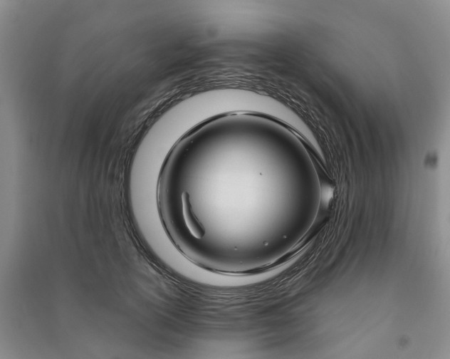 X0000090960754200708161815