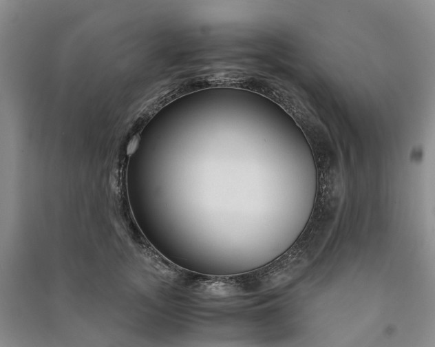 X0000090960755200708161815
