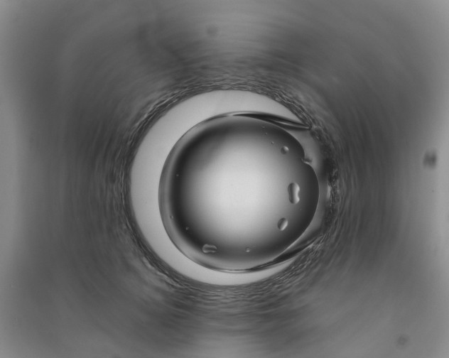 X0000090960756200708161815