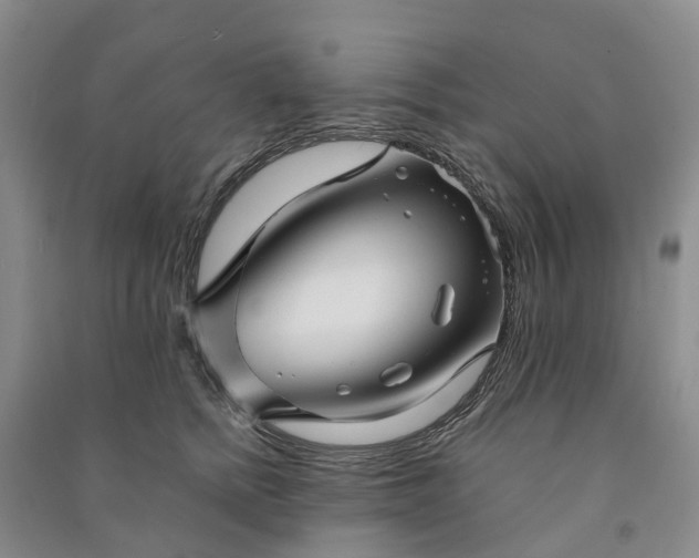X0000090960758200708161815