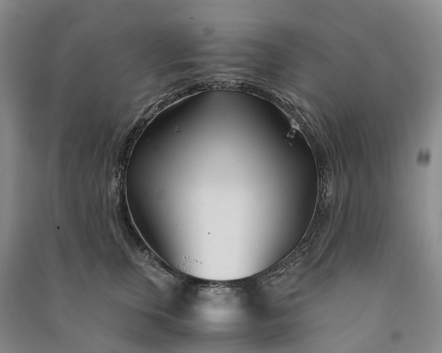 X0000090960759200708161815