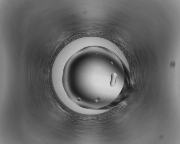 X0000090960760200708161815