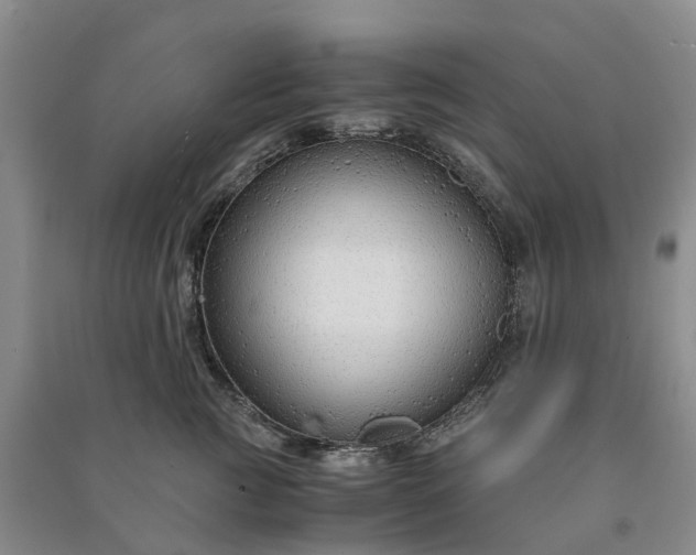 X0000090960761200708161815