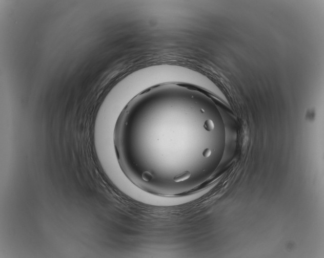 X0000090960762200708161815