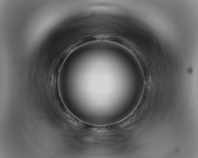 X0000090960763200708161815