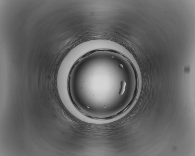 X0000090960764200708161815