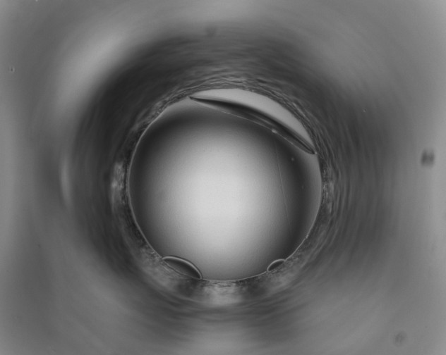 X0000090960767200708161815