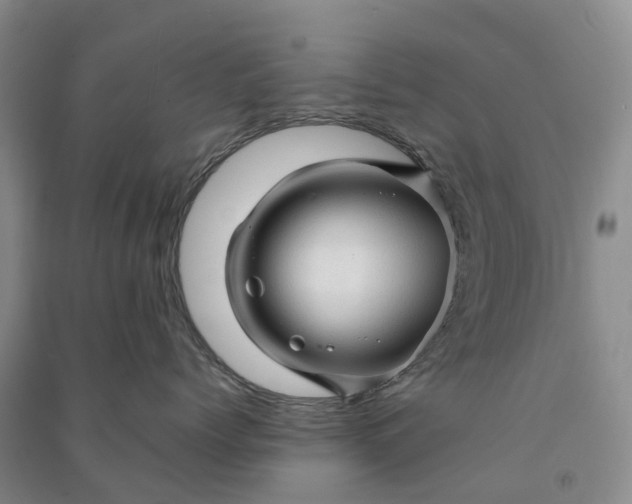 X0000090960768200708161815