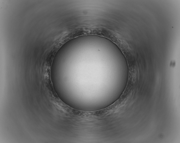X0000090960770200708161815