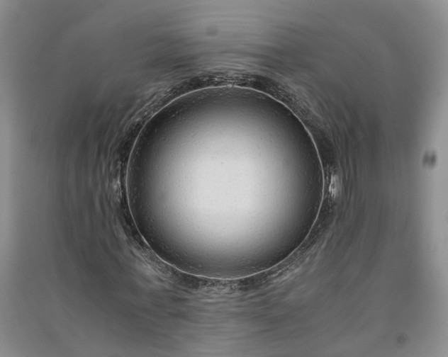 X0000090960771200708161815
