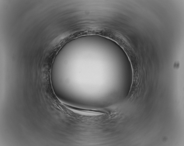 X0000090960773200708161815