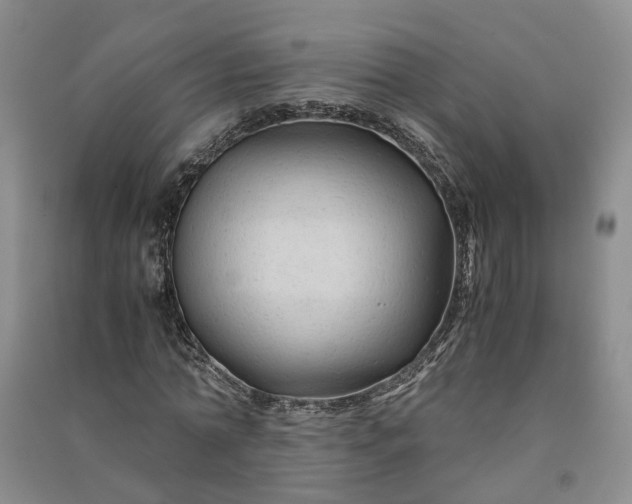 X0000090960774200708161815
