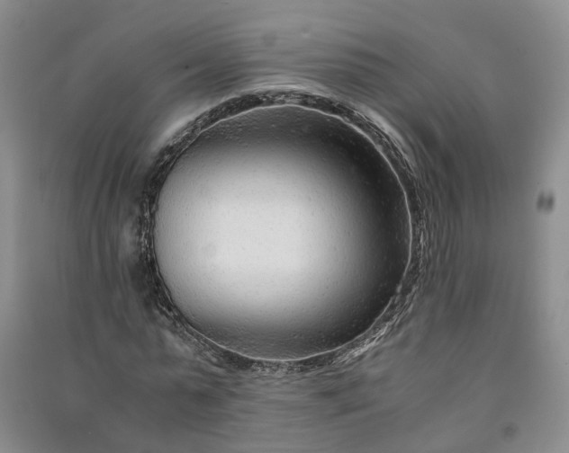 X0000090960775200708161815