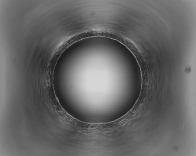 X0000090960776200708161815