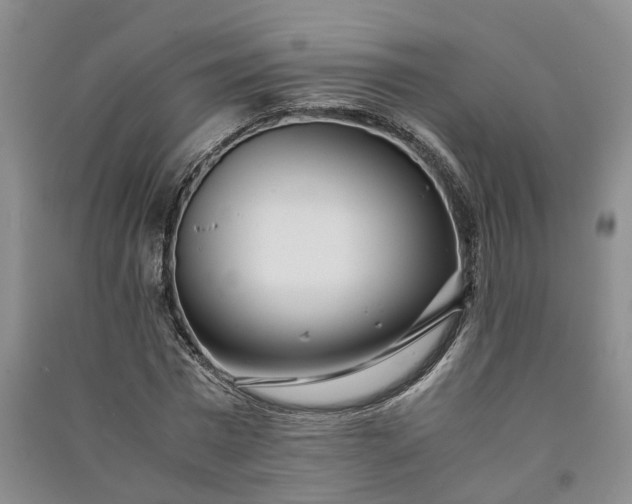 X0000090960777200708161815