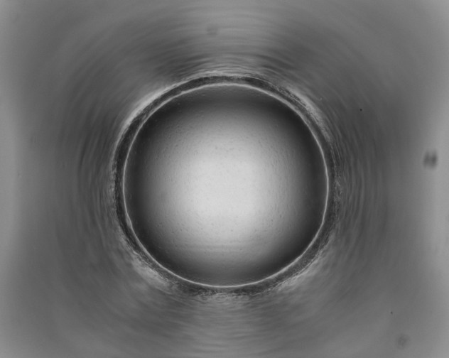 X0000090960779200708161815