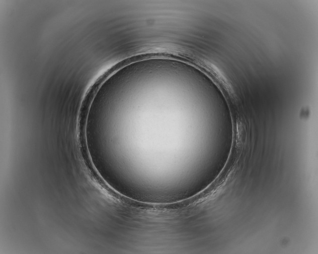X0000090960780200708161815