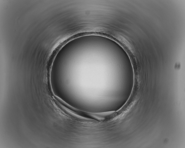 X0000090960781200708161815