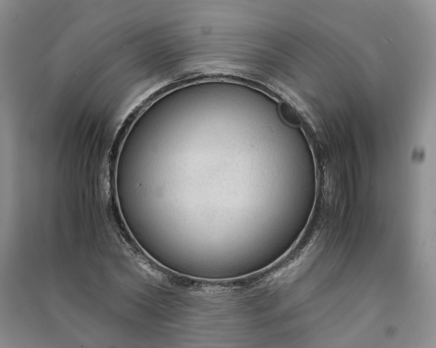 X0000090960782200708161815