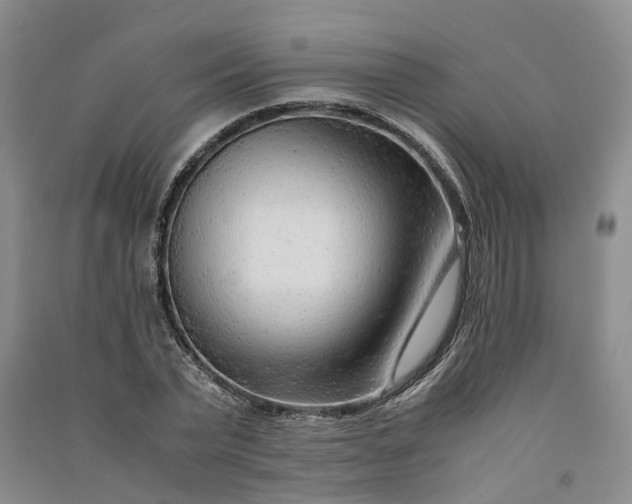 X0000090960783200708161815