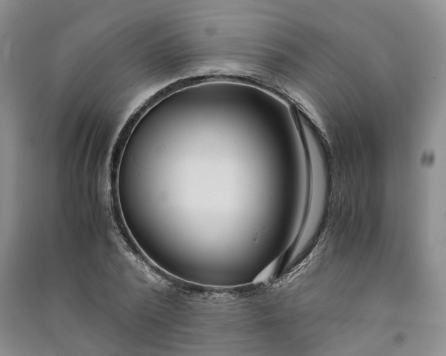 X0000090960784200708161815