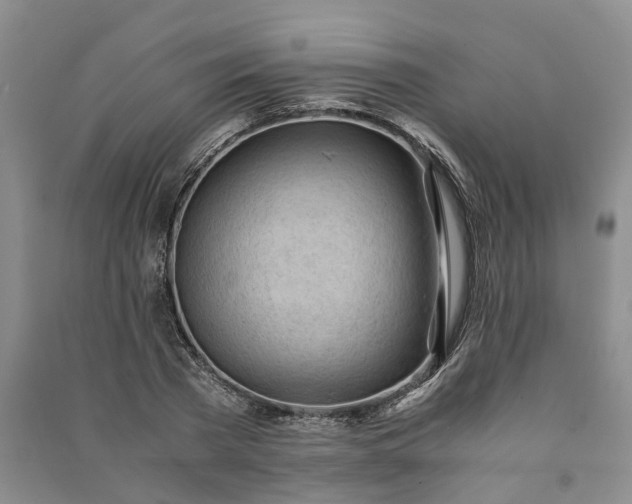 X0000090960785200708161815