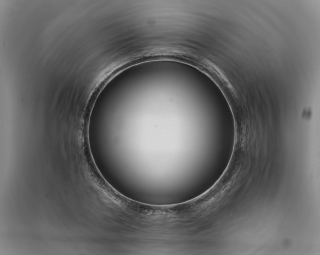 X0000090960786200708161815