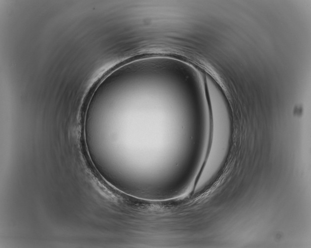 X0000090960787200708161815