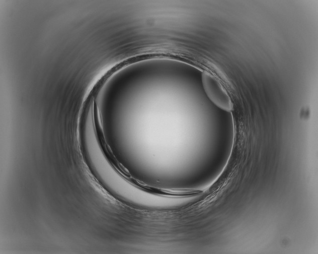X0000090960788200708161815
