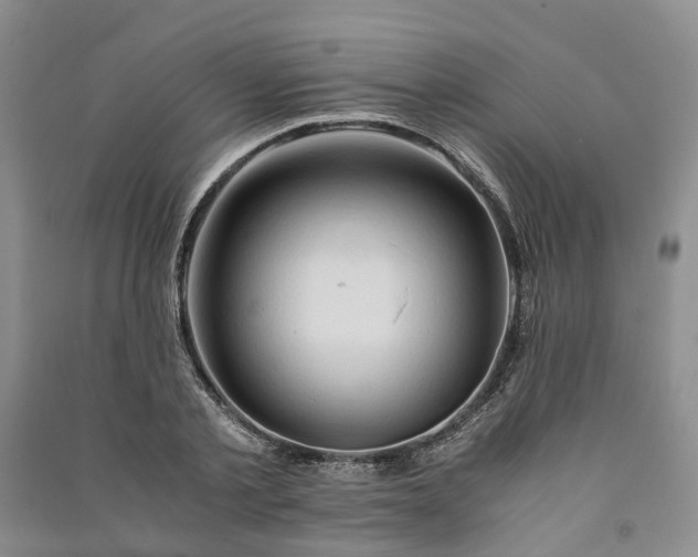 X0000090960789200708161815