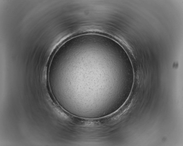 X0000090960790200708161815