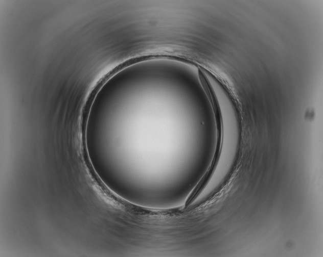 X0000090960792200708161815