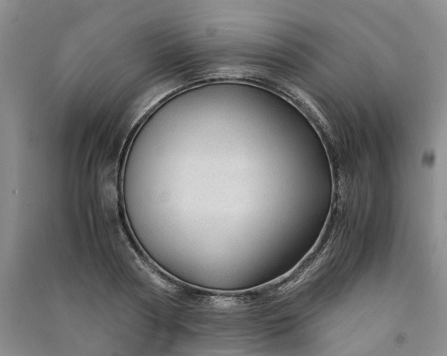 X0000090960794200708161815