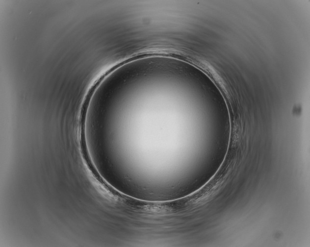 X0000090960795200708161815