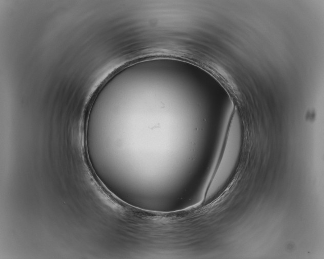 X0000090960796200708161815