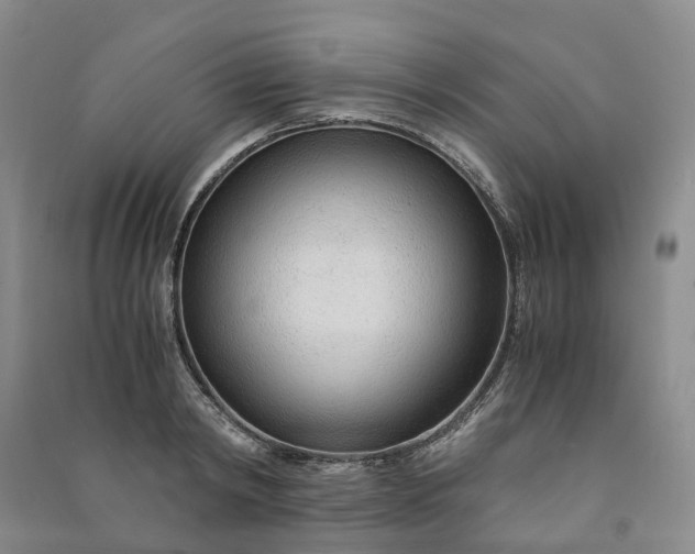 X0000090960798200708161814