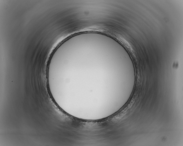 X0000090960800200708161814