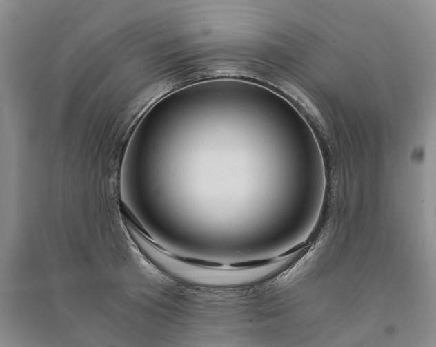 X0000090960801200708161814