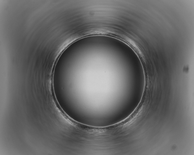 X0000090960802200708161814